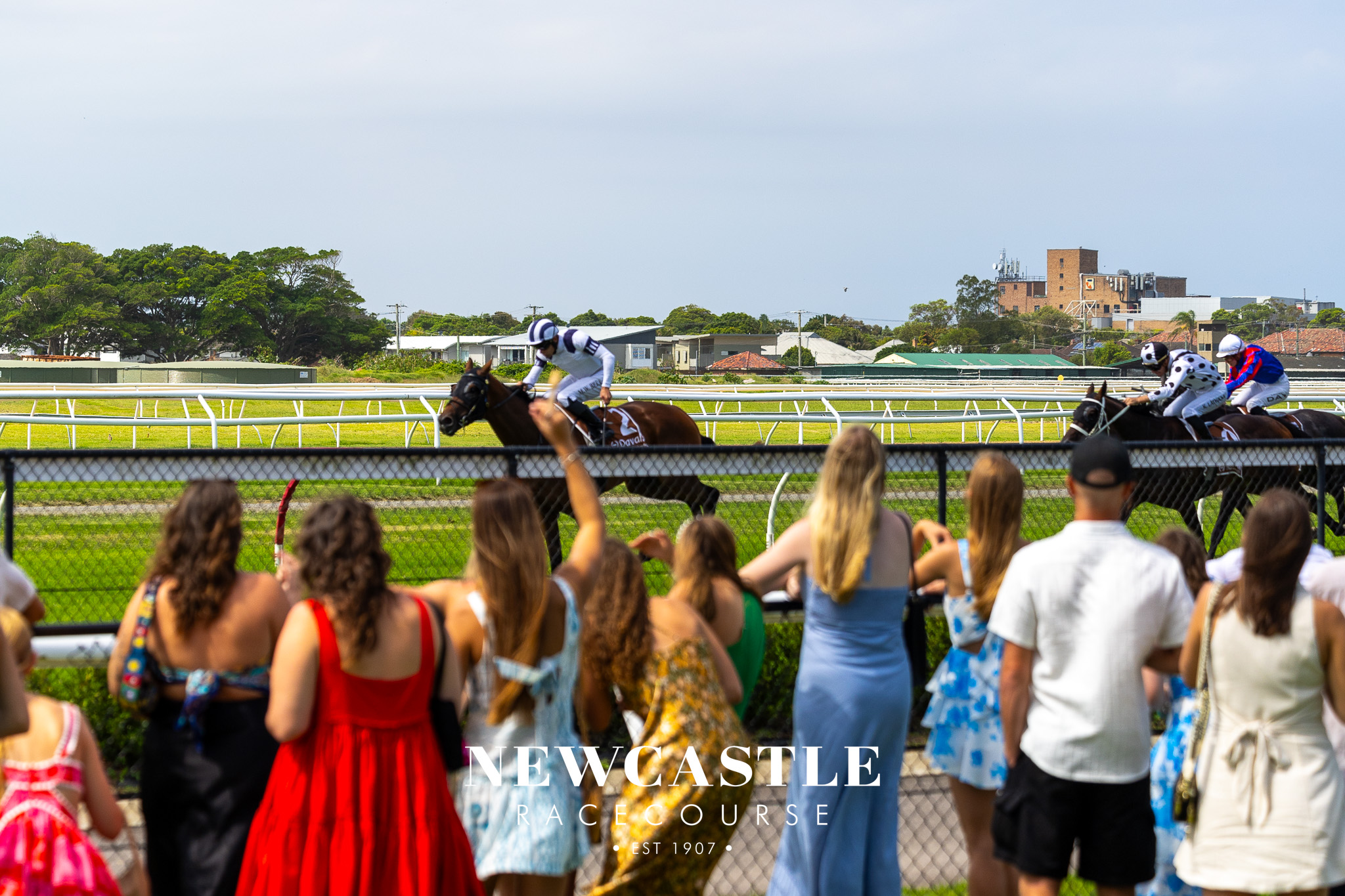 Newcastle Cup Field Announced